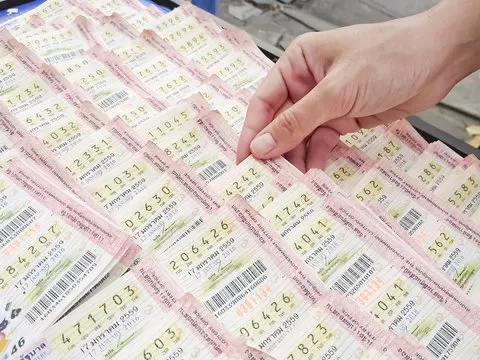 号码走势工具
